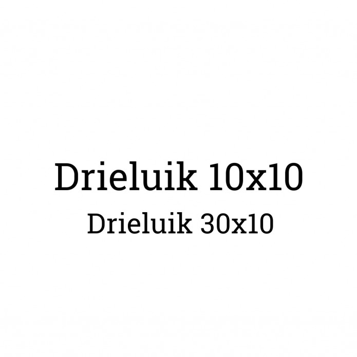 30x10 (Drieluik)