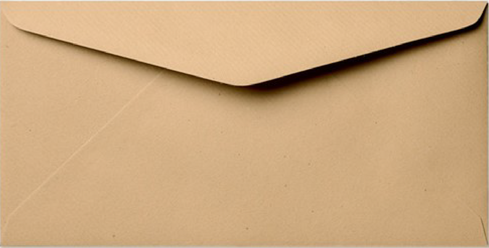 Envelop kraft langwerpig 11x22 cm