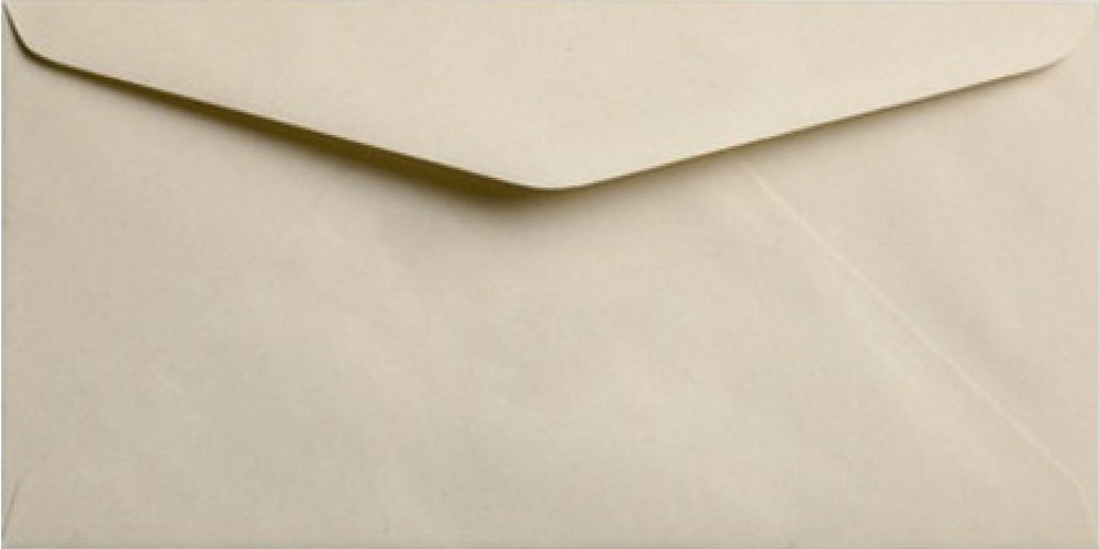 Envelop paperwise langwerpig 11x22 cm